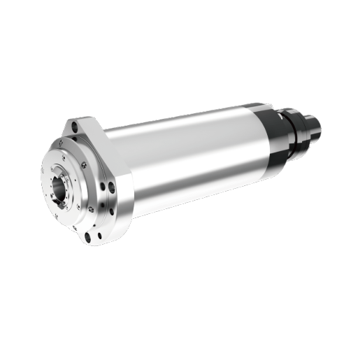DGZX-10030 100 mm BBT30 Spindle