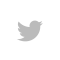 X Icon