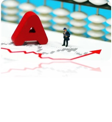 Publicly Listed Company
