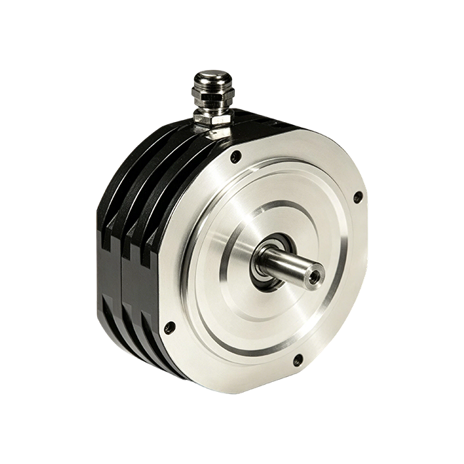 XtraforsBR Series Multi-Pole Brushless Motor